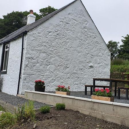 Dairy Cottage With Sea Views Girvan Exterior foto